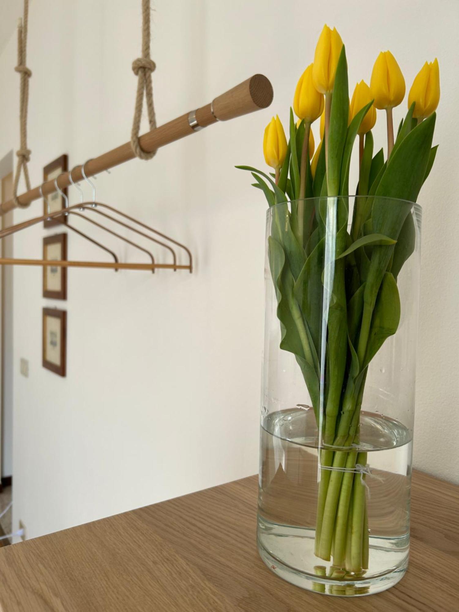 Villa Agricolae Agriturismo Marina  Екстериор снимка